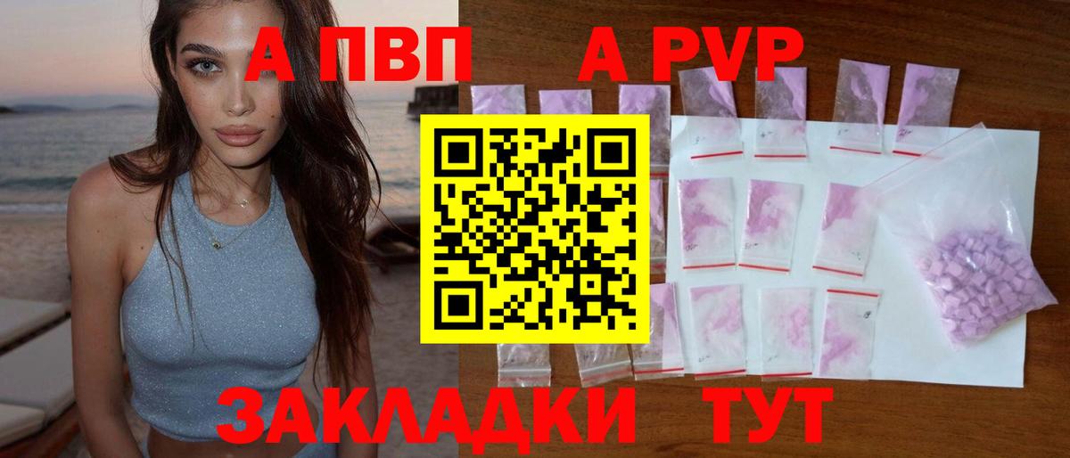 A PVP Кандалакша