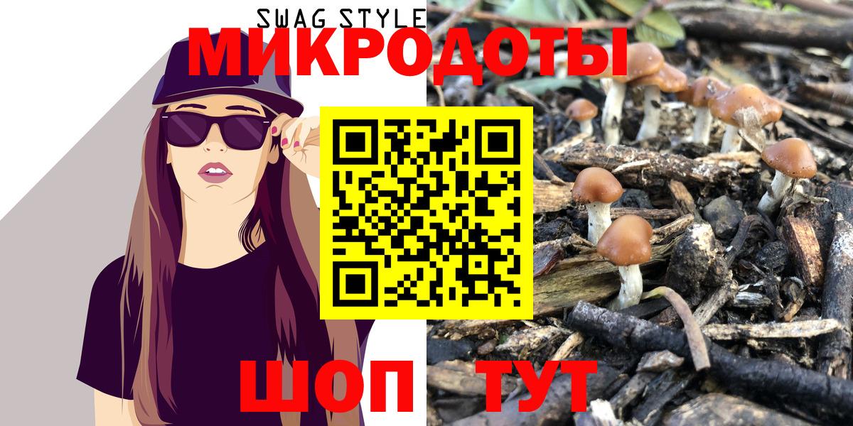 Псилоцибиновые грибы прущие грибы  Вход с VPN  Кандалакша  Псилоцибиновые грибы ЛСД 
