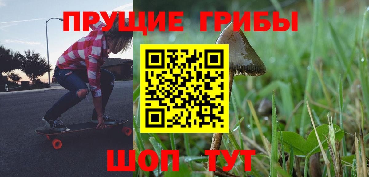 Псилоцибиновые грибы ЛСД Кандалакша